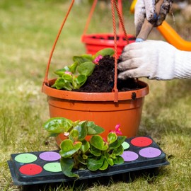 Sliner 100 Sets 2 Inch Net Pots with Clone Collars, Include 100 Garden Slotted Mesh Net Round Cup and 100 Cloning Collar for Hydroponics Aquaponics Indoor or Outdoor Planting Growing DIY Supplies