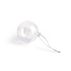 Succulent Style (4 x 10cm) Soap bubble glass iridescent baubles