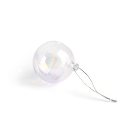 Succulent Style (4 x 10cm) Soap bubble glass iridescent baubles ornaments