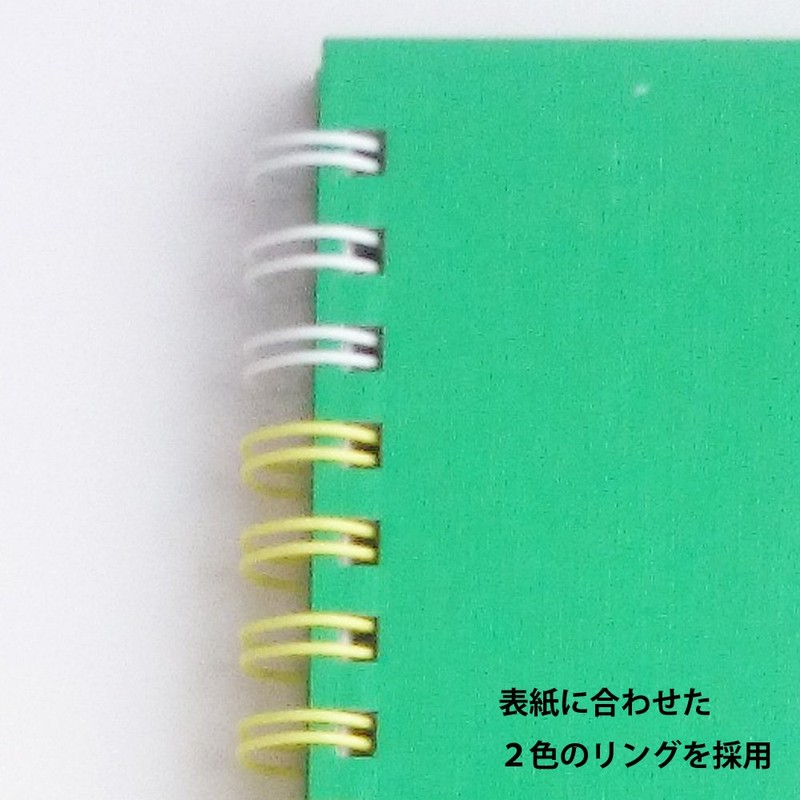 Maruman S310-33 Sketchbook Art Spiral F0 Thick Drawing Paper, 24