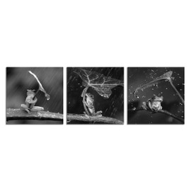 Black and White Wall Art Canvas Wildlife Wall Decor Frog with Umbrella Pictures on Wall Art for Home Office Decorations Living Room Bedroom and Kitchen Decor 3 Pcs Framed Canvas Prints 12X12inches
