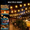 4pcs 10FT Poles for Outdoor String Lights, Metal Poles for