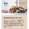 smaE Pet Camera | Safe Support by Japanese Companies |