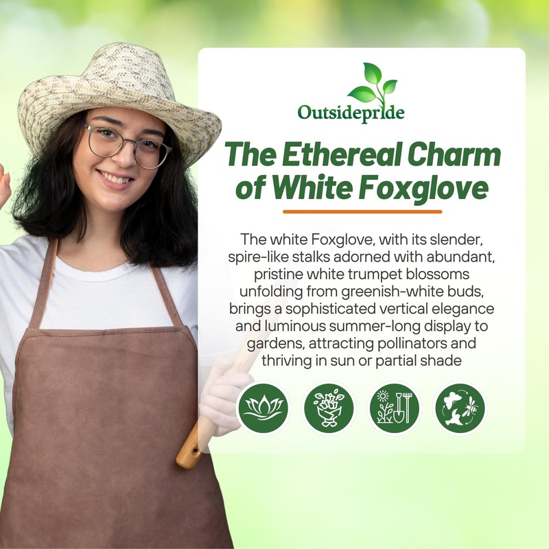 Outsidepride Digitalis Purpurea Alba White Foxglove Seeds – 5000 Pcs