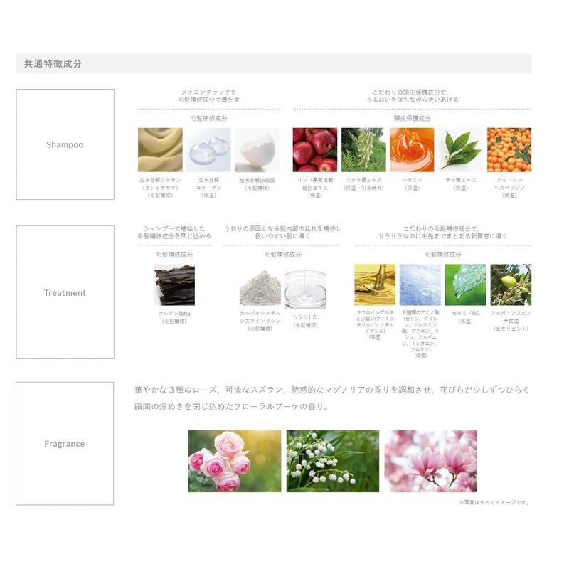 Demi Flowdia Shampoo, Spring Lift, 8.5 fl oz (250 ml)