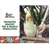 Sweet Feet and Beak Superoost Manzanita Pumice Pedicure Perch- Easy