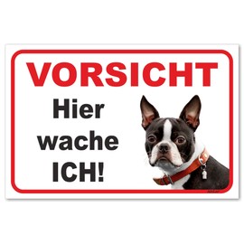 AdriLeo Sign "Vorsicht Boston Terrier - Hier wache ich (30 x 40 cm) / Achtung Hund Wachhund [German Language]