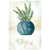 Potted Thyme by Carol Robinson -