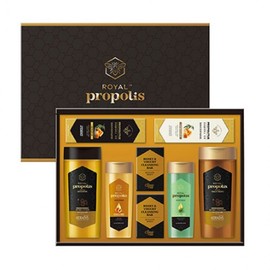 ROYAL Propolis Selection No. 29 Household Goods Comprehensive Gift Set (1 Set)