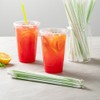 Restaurantware-Basic Nature 8.3 Inch Disposable Straws, 2000 Sustainable Straws -