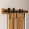 TOPCCJHHD 10 Feet Bypass Sliding Barn Door Hardware Kit for