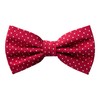 GoTie Men's Dotted Bowtie - Bow Ties Ready to Wear