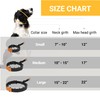 SVD.PET Dog Prong Collar for No-Pull Training, Quick-Release Buckle Adjustable