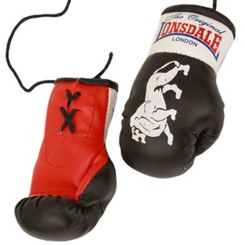 Lonsdale Adult (Unisex) Mini Boxing Gloves Promotional Items, Black, S EU