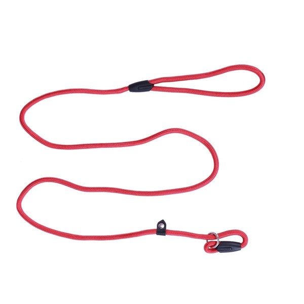 BESPORTBLE Dog Slip Lead Nylon: Adjustable Pet Slip Lead for