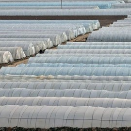 Durable Coated Greenhouse Vinyl - Small, 2m x 10m 10m