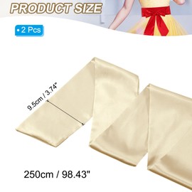 PATIKIL Satin Sash Belt, 2 Pcs Wedding Party Bridal Blank Satin Waist Belts Prom Accessory for Graduation Birthday Decoration DIY Accessory Homecoming, Champagne