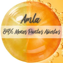 Garnier Fructis Shampoo Borrador de Dano Largo Perfecto, 650 ml