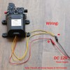bayite 12V DC Fresh Water Pump 7.5 L/Min 2 GPM