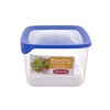 CURVER 2045137 Fresh & Go 3 Litres Cool Box Plastic