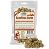 Exotic Nutrition Squirrel Beneficial Blocks - Healthy & Unique Supplemental