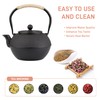 SECHUDO Japanese Tetsubin Cast Iron Teapot Tea Kettle pot with