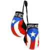 Puerto Rico Country Flag Mini Boxing Gloves to Hang On