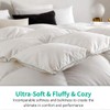 APSMILE Luxurious Oversized King Feathers Down Comforter, Ultra-Soft Pima Cotton