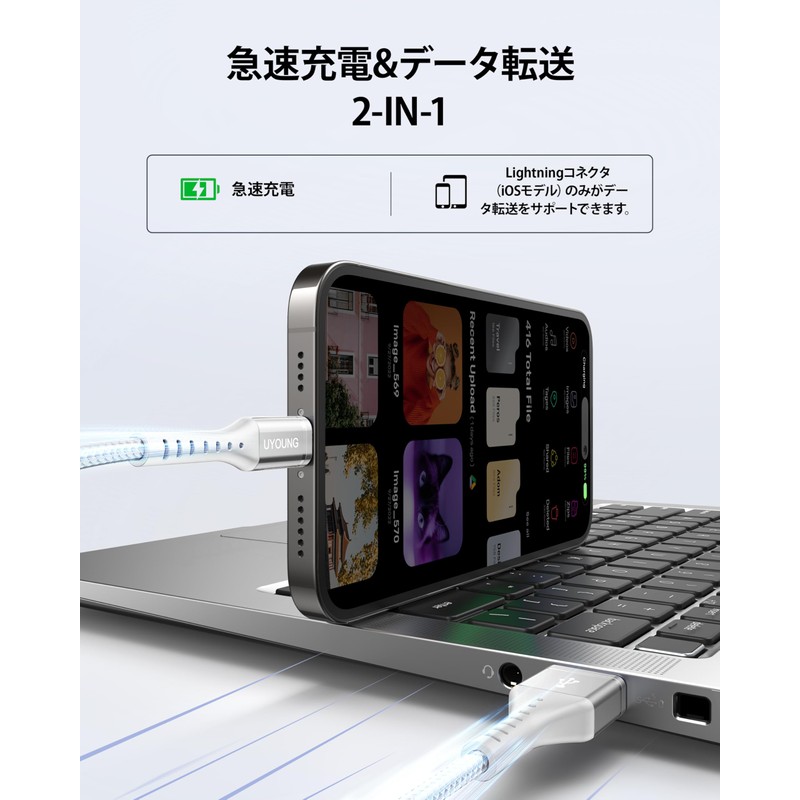 Charging Cable 3 in 1 Silver, 11.8 inches (30 cm)
