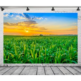 CORFOTO Fabric 10x8ft Sunrise Corn Field Backdrop Rural Corn Fields Agriculture Crop Farm View Photo Background Country Scenery Fall Harvest Party Decorations Kids Portait Artistic Props