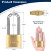 XTUFF Solid Brass Padlock with 3 Same Keys, Keyed Alike
