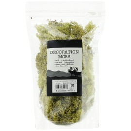 Rain Diamos 156-9-3 3 3 Mint 3.5 oz (100 g)