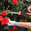 Grass Shears Handheld, Razorsharp Hand Grass Clippers with 360 Degree