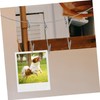 Zerodeko 1 Set Alligator Photo Clips with Hanging Wire for