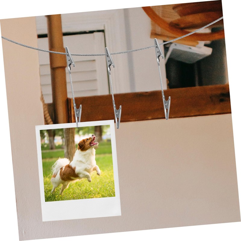 Zerodeko 1 Set Alligator Photo Clips with Hanging Wire for