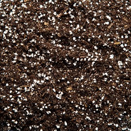 Superior Cacti and Succulent Potting Mix - Enriched with Nutrients (1L)