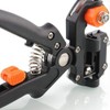 Zenport ZJ67 Omega-Cut Grafting Tool/Pruner for Fruit Trees and Grape
