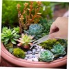 Outanaya 5Pcs Succulent Tweezers Tool Stainless Steel Gardening Tools for