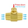 BesNPT Brass 1/4" NPT Female x 1/4" NPT Female Push