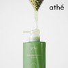 Ate & Root Clinic Retreat Scalp Shampoo 480ml / 아떼 앤루트 클리닉 리 트리트 스칼프 샴푸 480ml