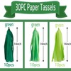 Green Gradient Tissue Paper Tassels 30pcs Streamers Party for Birthdays