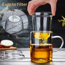 Unbreakable Glass Tea Cup with Infuser and Lid - 17oz Tea Mug for Loose Leaf Tea, Infusion Mug with Glass Filter and Glass Lid