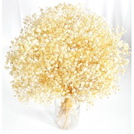 Bannifll Dried Babys Breath: Baby Breath Flower Bouquet with 3000+ Ivory White Dry Flowers, Artificial Bulk Dried Flowers for Vase, Garden Party, and Boho Wedding Decor (17-Inch)