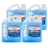 Wet & Forget Outdoor Moss, Mold, Mildew, & Algae Stain
