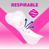 Saba Diarios Multiestilos, Protectores Diarios Multiforma, 28 Piezas