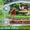 Window Bird Feeder with Strong Suction Cups - (Upgraded 2026