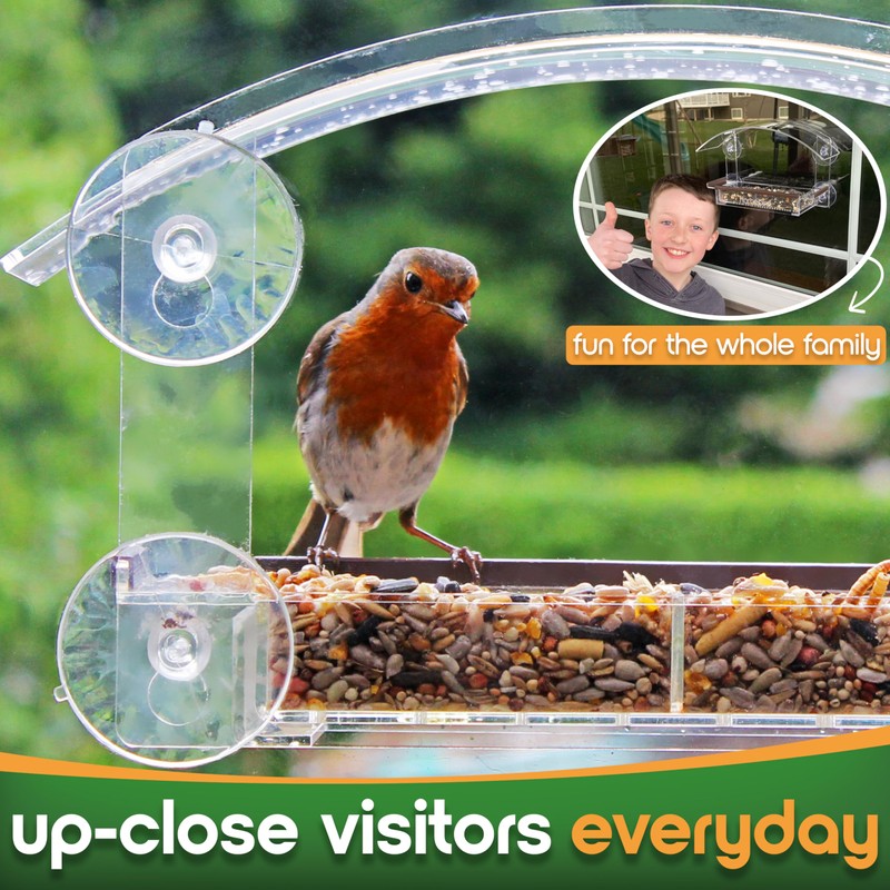 Window Bird Feeder with Strong Suction Cups - (Upgraded 2026