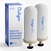 Culligan MaxClear 7” Gravity Water Filter Replacement Compatible with ProOne