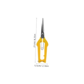 Operitacx Pack of 3 Harvesting Shears Transparent Tree Scissors for Gardening Plums Small Secateurs Clipper Flower Heavy Purpose Grafting Tools for Garden Garden Secateurs Stainless Steel