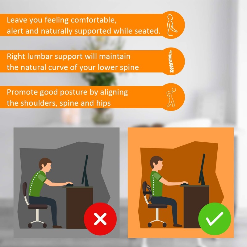 Samyoung Mesh Back Lumbar Support, Back Support Seat Cushion with